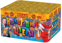 Новогодние цветы Фейерверк купить в Курске | kursk.salutsklad.ru