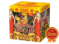 Красивая жизнь Фейерверк купить в Курске | kursk.salutsklad.ru