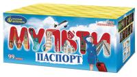 Мультипаспорт Салют купить в Курске | kursk.salutsklad.ru