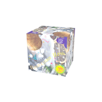 Новогодняя ночь Салют купить в Курске | kursk.salutsklad.ru