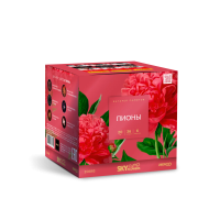 Пионы Салют купить в Курске | kursk.salutsklad.ru