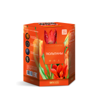 Тюльпаны Салют купить в Курске | kursk.salutsklad.ru