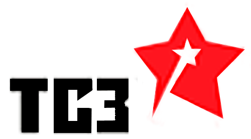 ТСЗ - Курск | kursk.salutsklad.ru