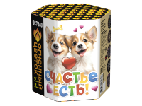 Счастье есть! Салют купить в Курске | kursk.salutsklad.ru