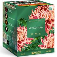 Хризантемы Фейерверк купить в Курске | kursk.salutsklad.ru