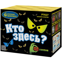 Кто здесь? Батарея салютов купить в Курске | kursk.salutsklad.ru