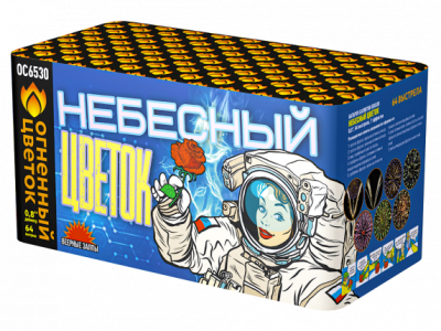 Небесный цветок Салют купить в Курске | kursk.salutsklad.ru