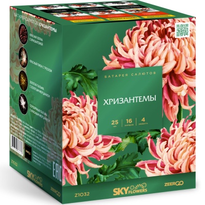 Хризантемы Фейерверк купить в Курске | kursk.salutsklad.ru